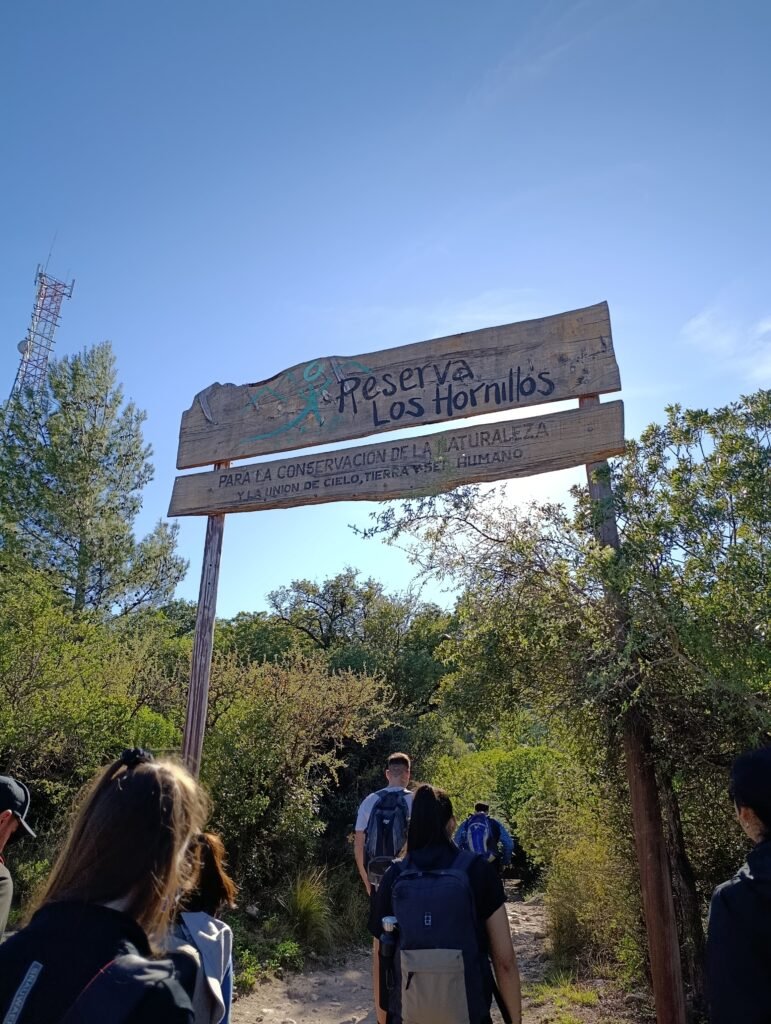 img 20250928 091300 img 20250928 091300